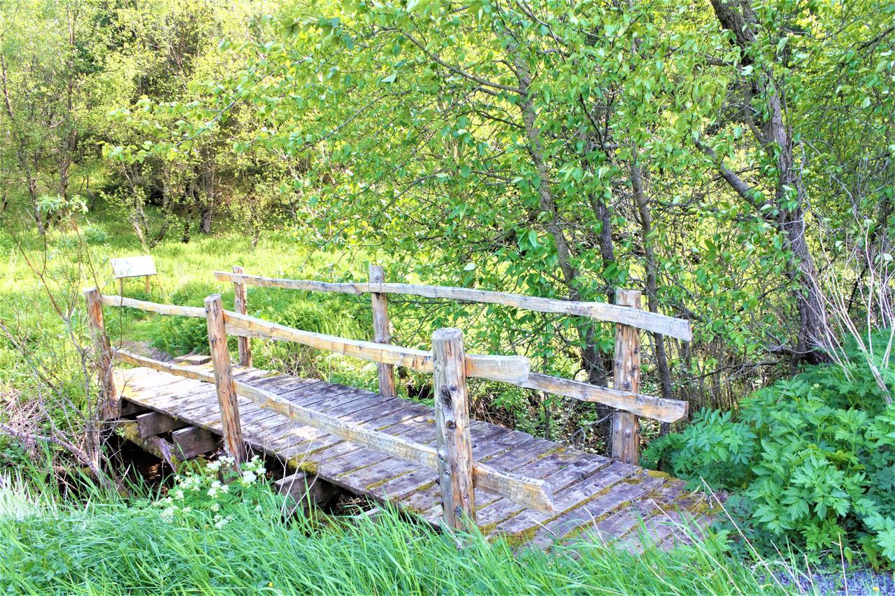 Solheimar Eco-Village Guesthouse Экстерьер фото