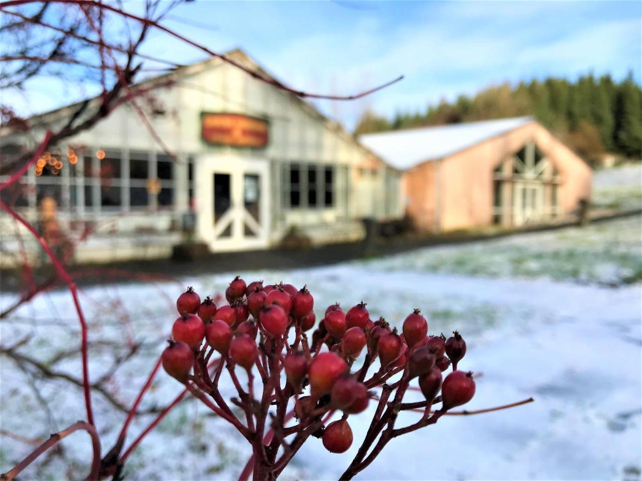 Solheimar Eco-Village Guesthouse Экстерьер фото